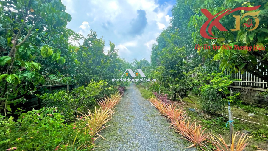 🌺Bán nhà vườn nghỉ dưỡng 1.170m2 siêu đẹp tại Thiện Tân, Vĩnh Cửu, Đồng Nai chỉ 10 tỷ