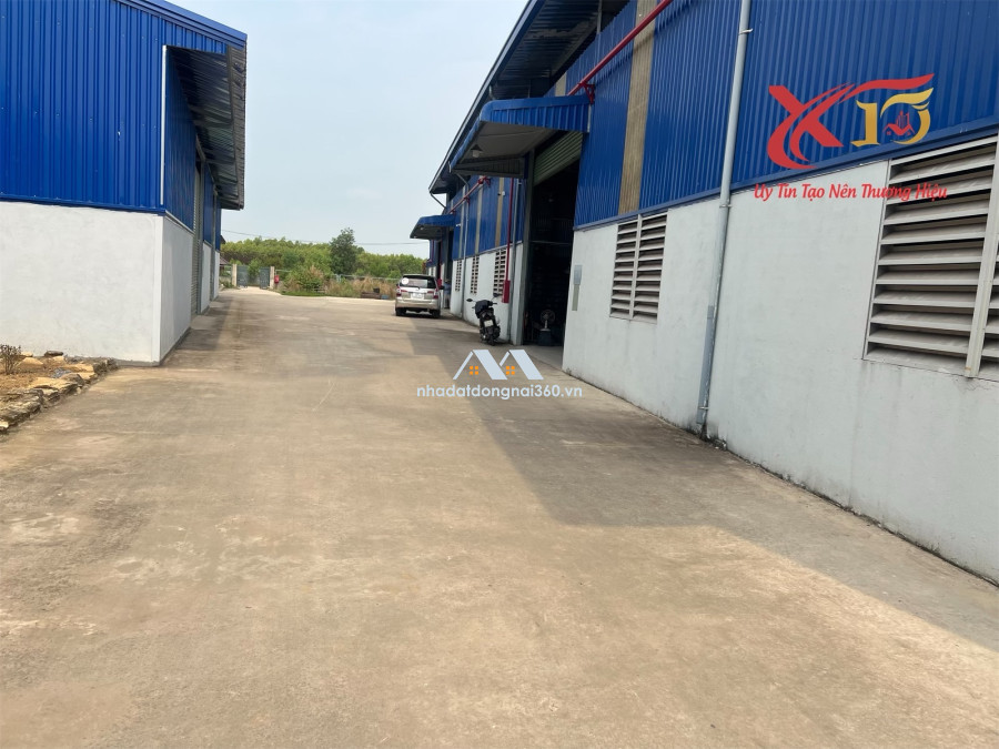 Cho thuê nhà xưởng 5000m2 giá 60 triệu-gần CCN Tân An- Vĩnh Cửu-Đồng Nai