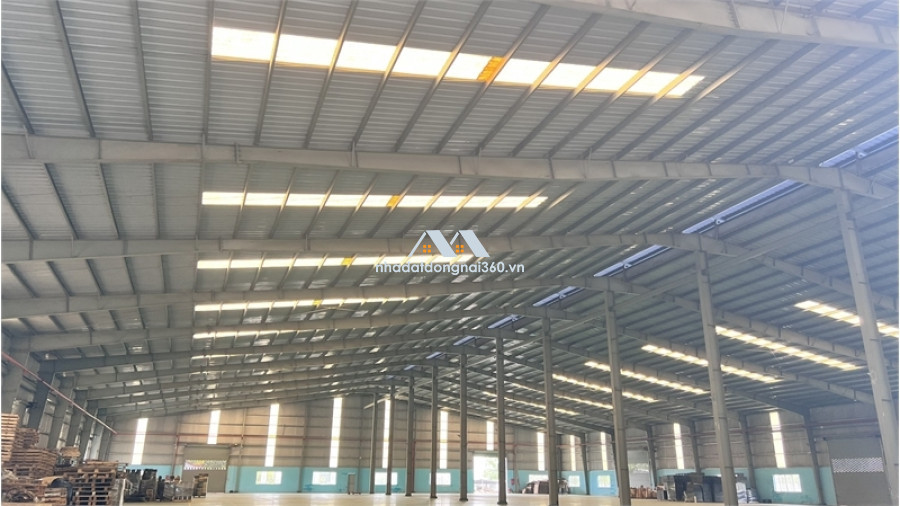 XT038 cho thuê nhà xưởng sản xuất kho bãi vận hành, khung thép kiên cố