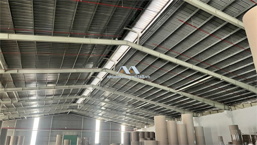 XT038 cho thuê nhà xưởng sản xuất kho bãi vận hành, khung thép kiên cố