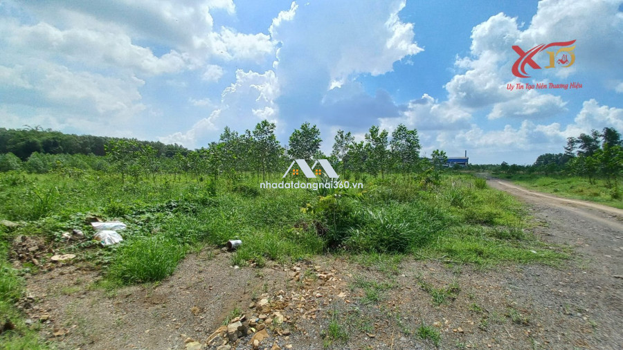 Bán đất qui hoạch SKC xây dựng nhà xưởng Thiện tân Vĩnh Cửu đồng Nai