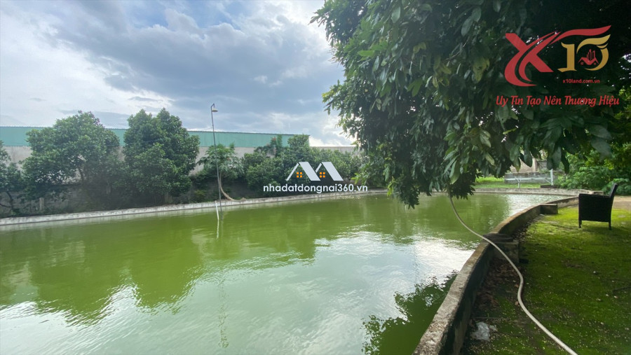 Bán đất vườn xã Long Phước, Long Thành diện tích 5000m2 giá 20 tỷ