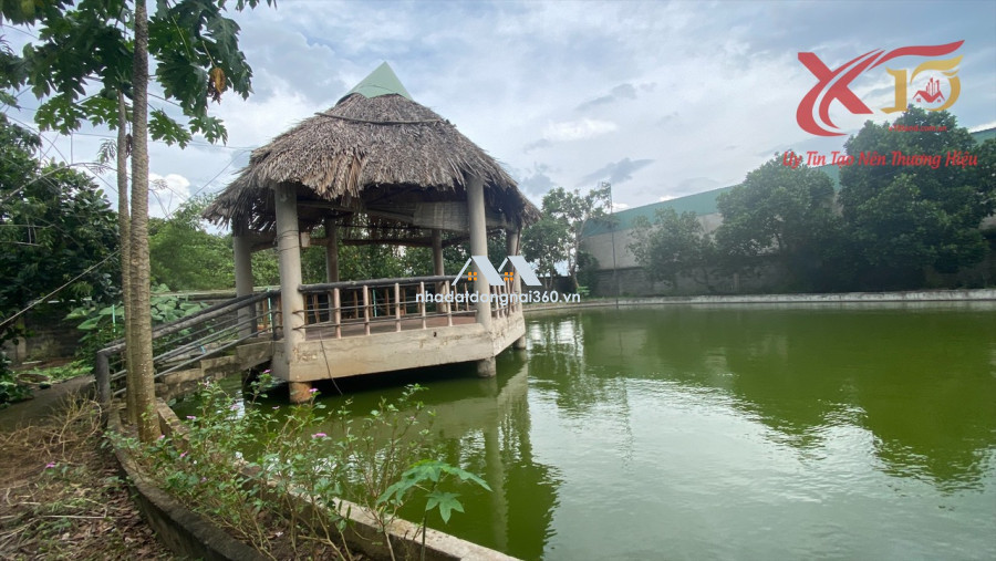 Bán đất vườn xã Long Phước Huyện Long Thành Đồng Nai diện tích 5000m2 giá 20 tỷ