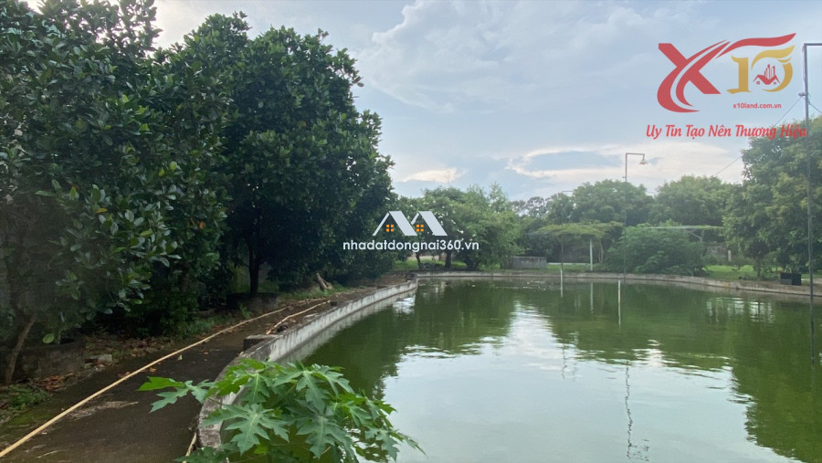 Bán đất vườn xã Long Phước Huyện Long Thành Đồng Nai diện tích 5000m2 giá 20 tỷ