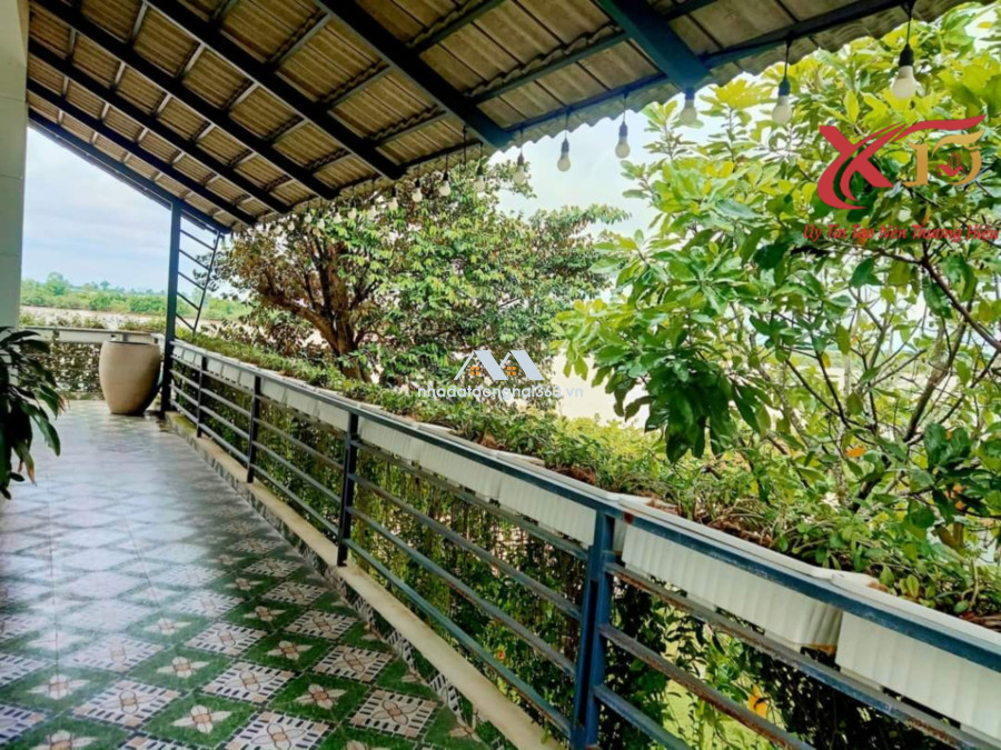 Bán nhà vườn view sông xã Bình Hòa Vĩnh Cửu Đồng Nai