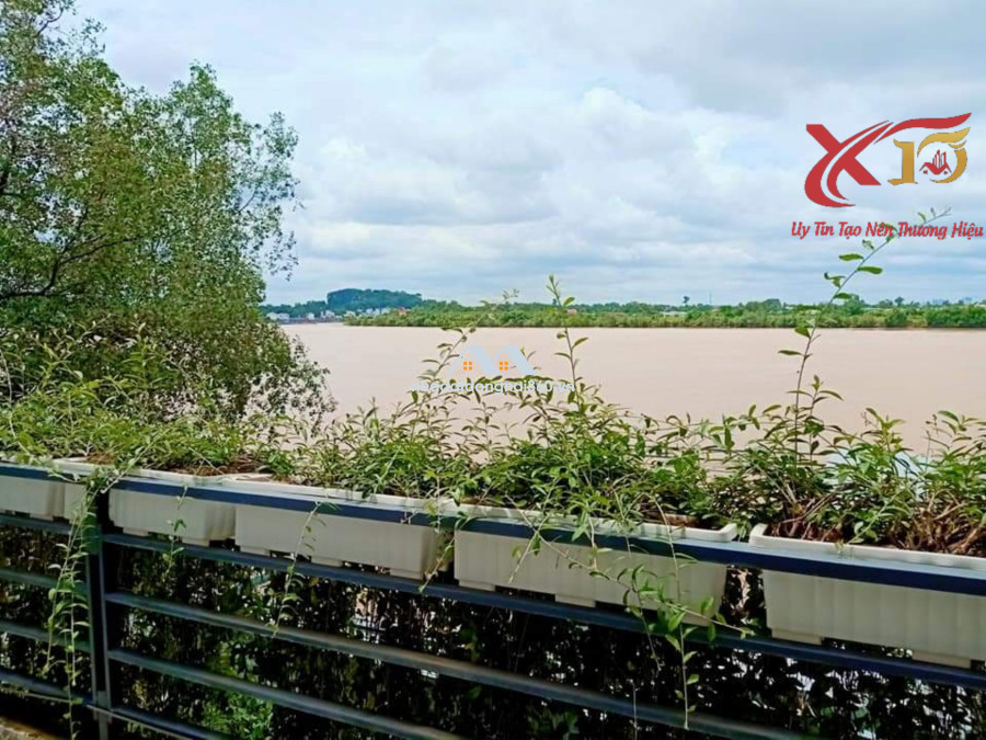 Bán nhà vườn view sông xã Bình Hòa Vĩnh Cửu Đồng Nai