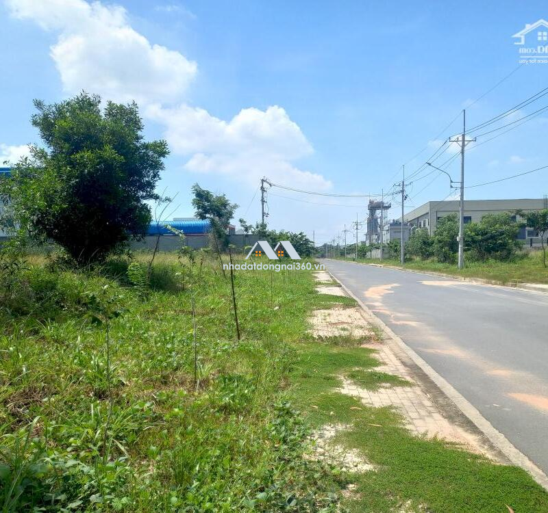 Bán đất xây dựng nhà xưởng 12000m2-34000m2 KCN Hố Nai ,gần KCN Amata Biên Hòa