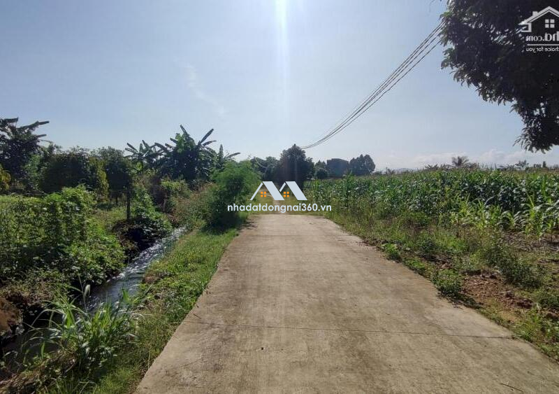 Cần bán 1.3 sào đất CLN tại xã Phú Xuân – Tân phú – Đồng Nai