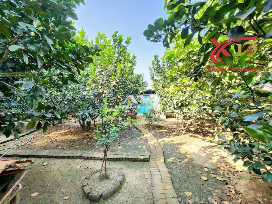 Bán nhà vườn 1540m2 xã Bình Lợi, H Vĩnh Cửu, Đồng Nai giá 8,5 tỷ