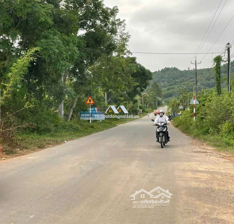 9Ha Sầu Riêng Có 300M2 Thổ Cư Mặt Tiền Đường Nhựa Tại Tân Phú,Đồng Nai